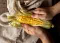 Mercosur derechos sociales medio ambiente soberanía alimentaria