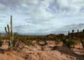 México restaurar ecosistemas degradados