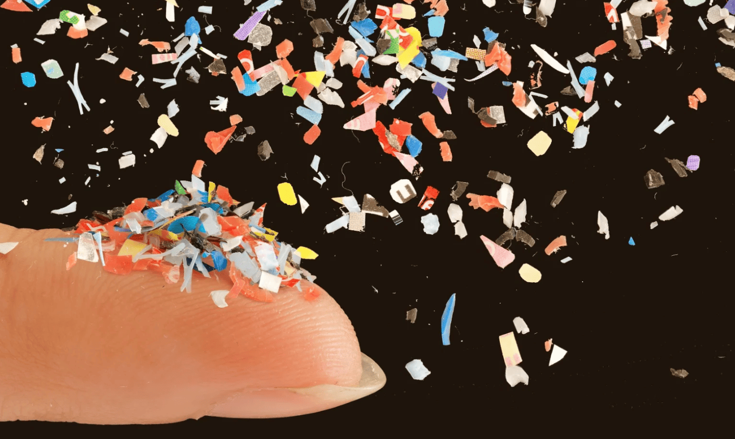 Microplásticos mamíferos países centroeuropeos