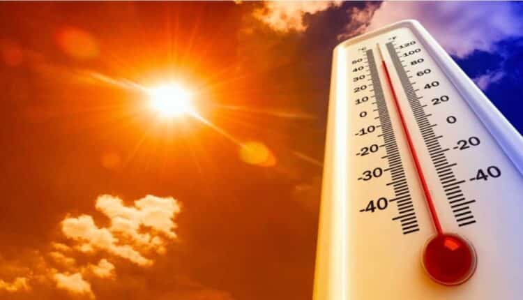 Morir lentamente bajo los efectos del ‘cambio climático’