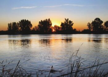 Narcos su tráfico ilegal de combustible en el Guadalquivir es un ‘peligro’ para el medio ambiente
