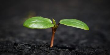 ONG impulsa 'las Áreas Clave para la Biodiversidad en España'