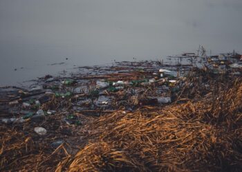 Organizaciones ecologistas piden a los gobiernos de América Latina unidad y ambición en un tratado internacional ante la contaminación por plásticos