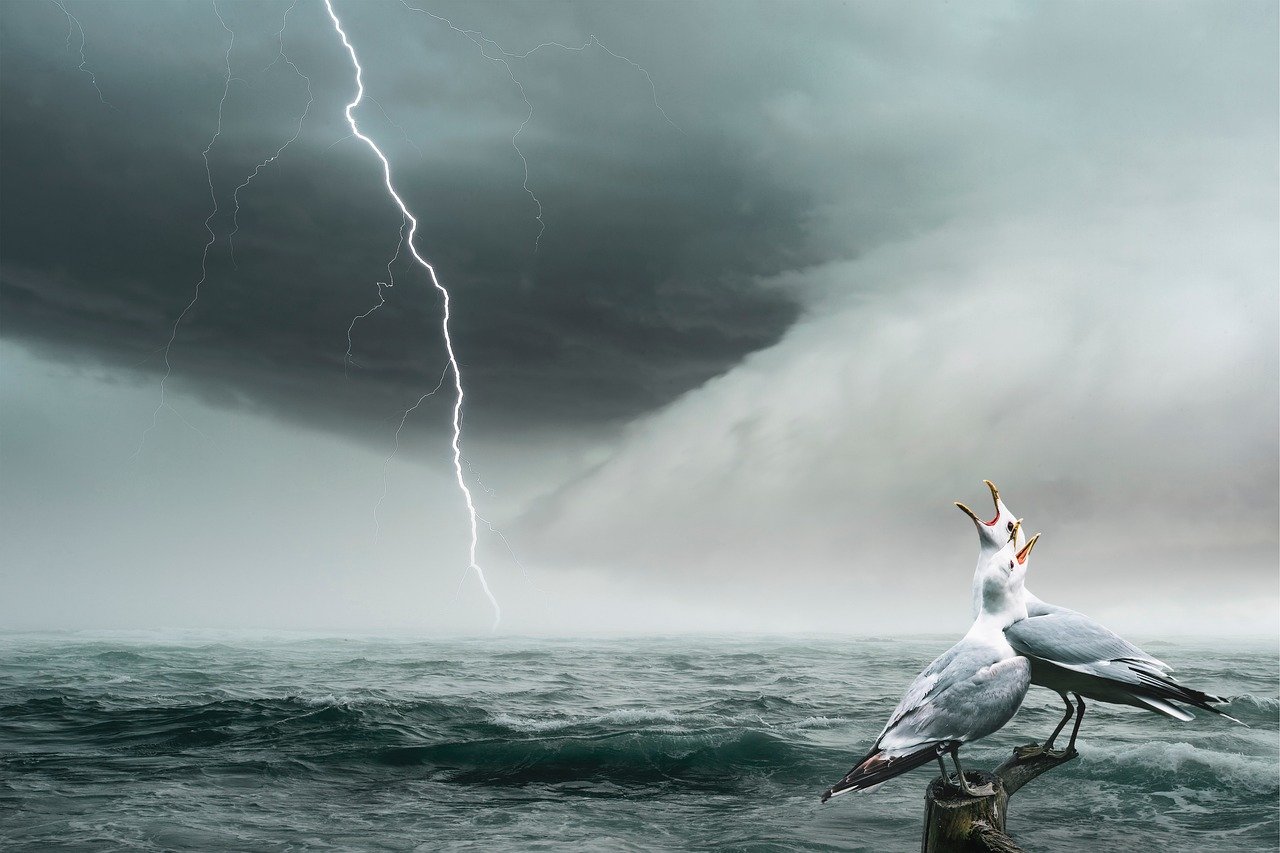 Pacto Europeo Océano proteger