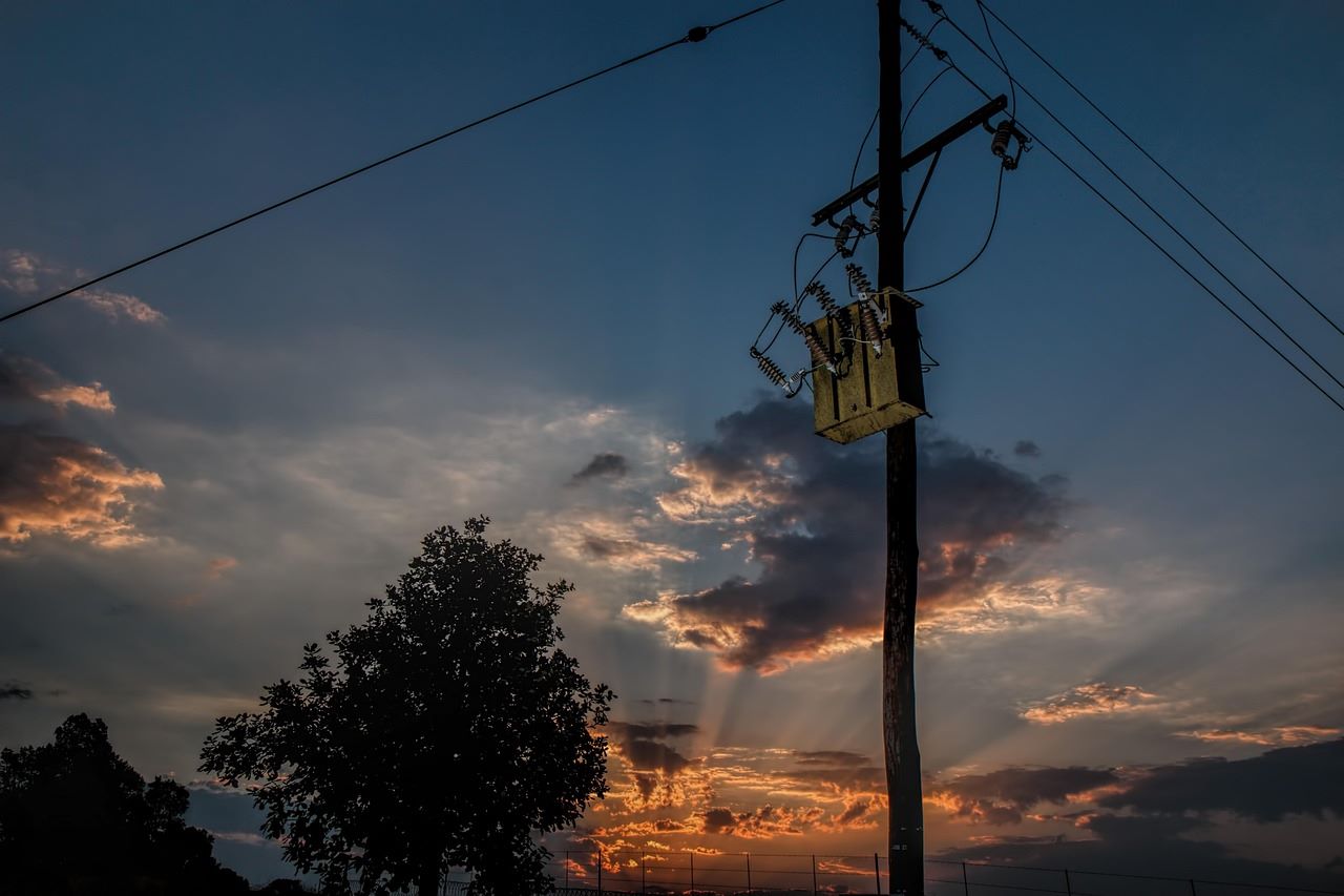 Proyecto Life Power Line Birds ciudadanía aplicación reducir muertes aves tendidos eléctricos