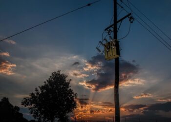 Proyecto Life Power Line Birds ciudadanía aplicación reducir muertes aves tendidos eléctricos