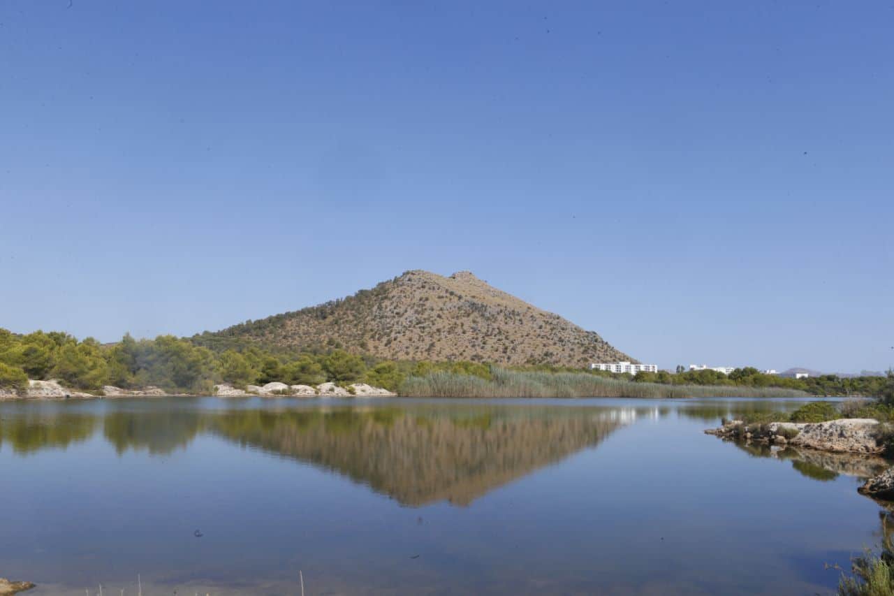 Proyecto RestaurAlcúdia biodiversidad Maristany Estany des Ponts Baleares