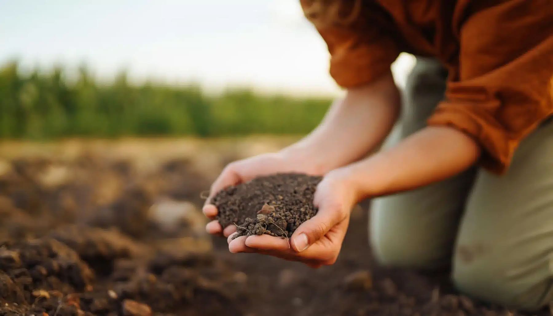 Proyecto pionero para devolver la fertilidad a suelos degradados de Cataluña