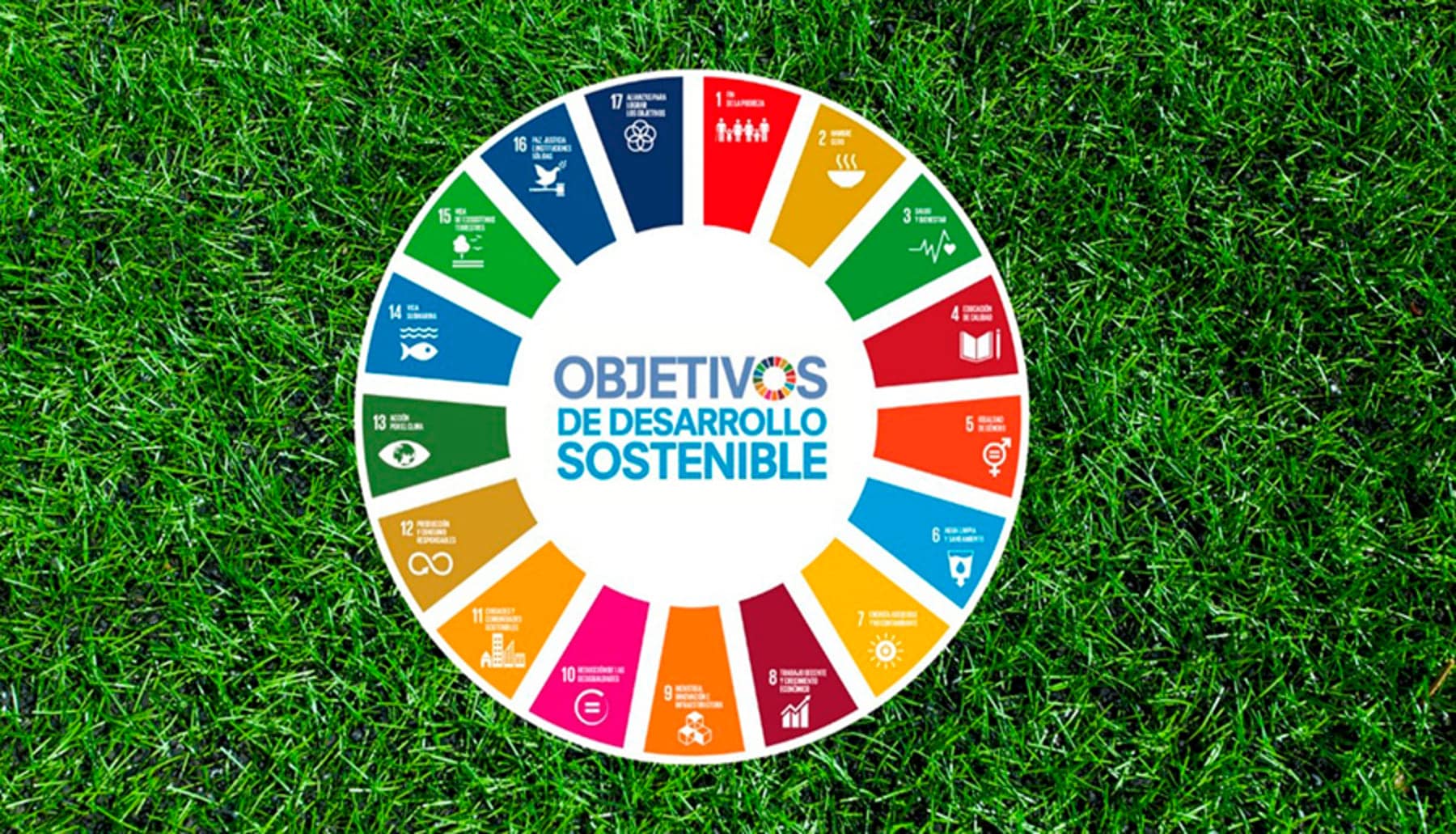 Proyectos que promuevan los ODS 'premiados' con más de 16 millones de euros por parte de Agenda 2030