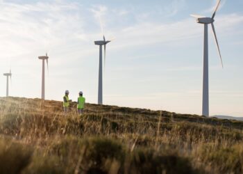 RDL 7/2025 sector eolico satisfecho medidas pendientes