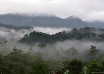 biodiversidad Chocó ecuatoriano