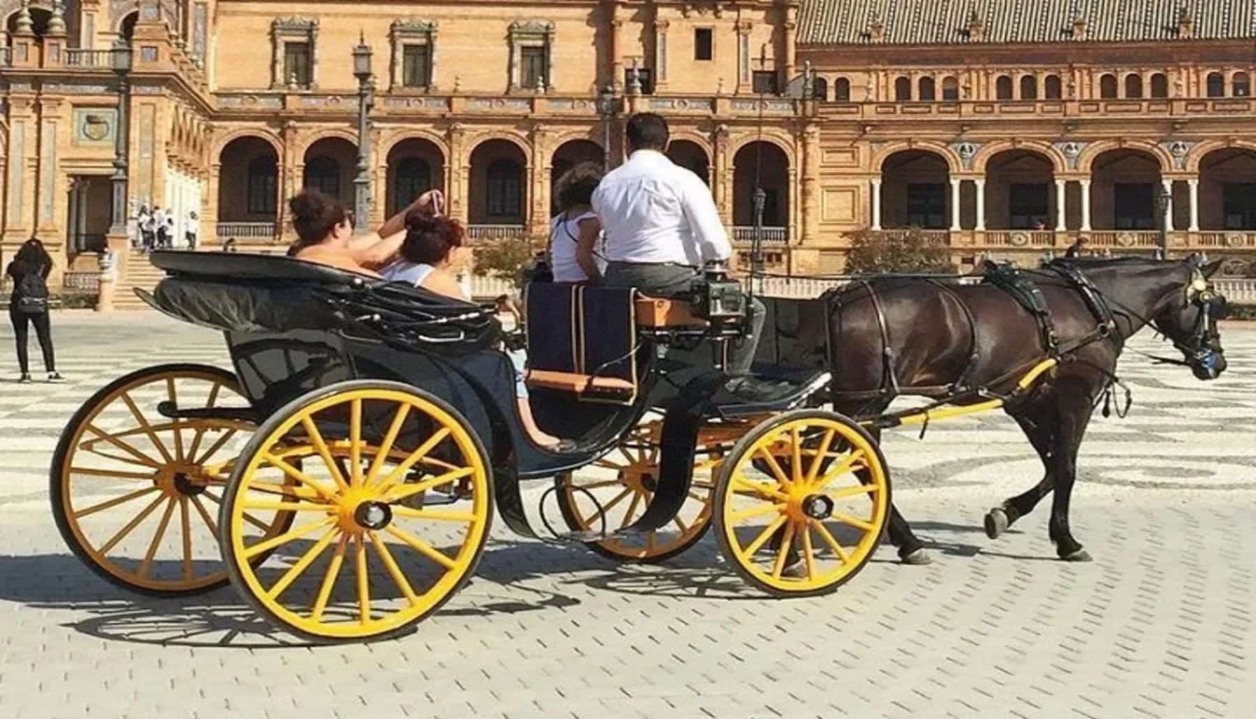Málaga prohibió los coches de caballos por considerar que era ‘maltrato animal’, ¿qué pasa con las otras ciudades de Andalucía