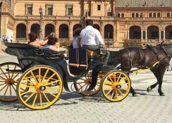 Málaga prohibió los coches de caballos por considerar que era ‘maltrato animal’, ¿qué pasa con las otras ciudades de Andalucía