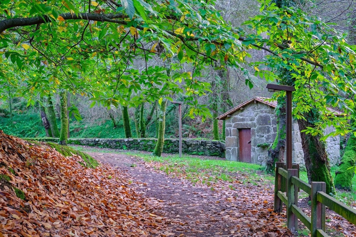 Sanxenxo senderos azules