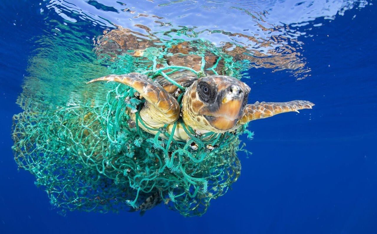 conferencia oceanos tratado mundial contra contaminación plásticos