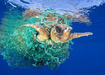conferencia oceanos tratado mundial contra contaminación plásticos