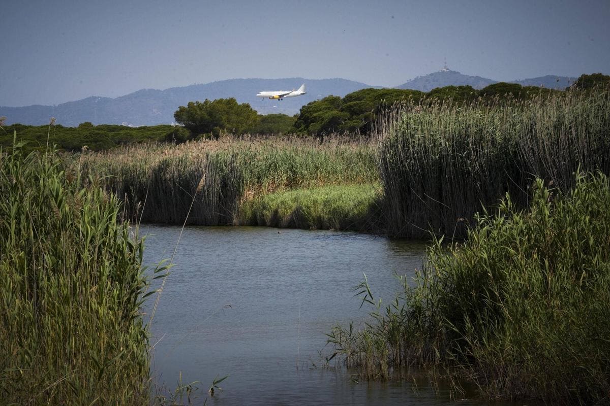 ampliación Aeropuerto Josep Tarradellas Barcelona El Prat