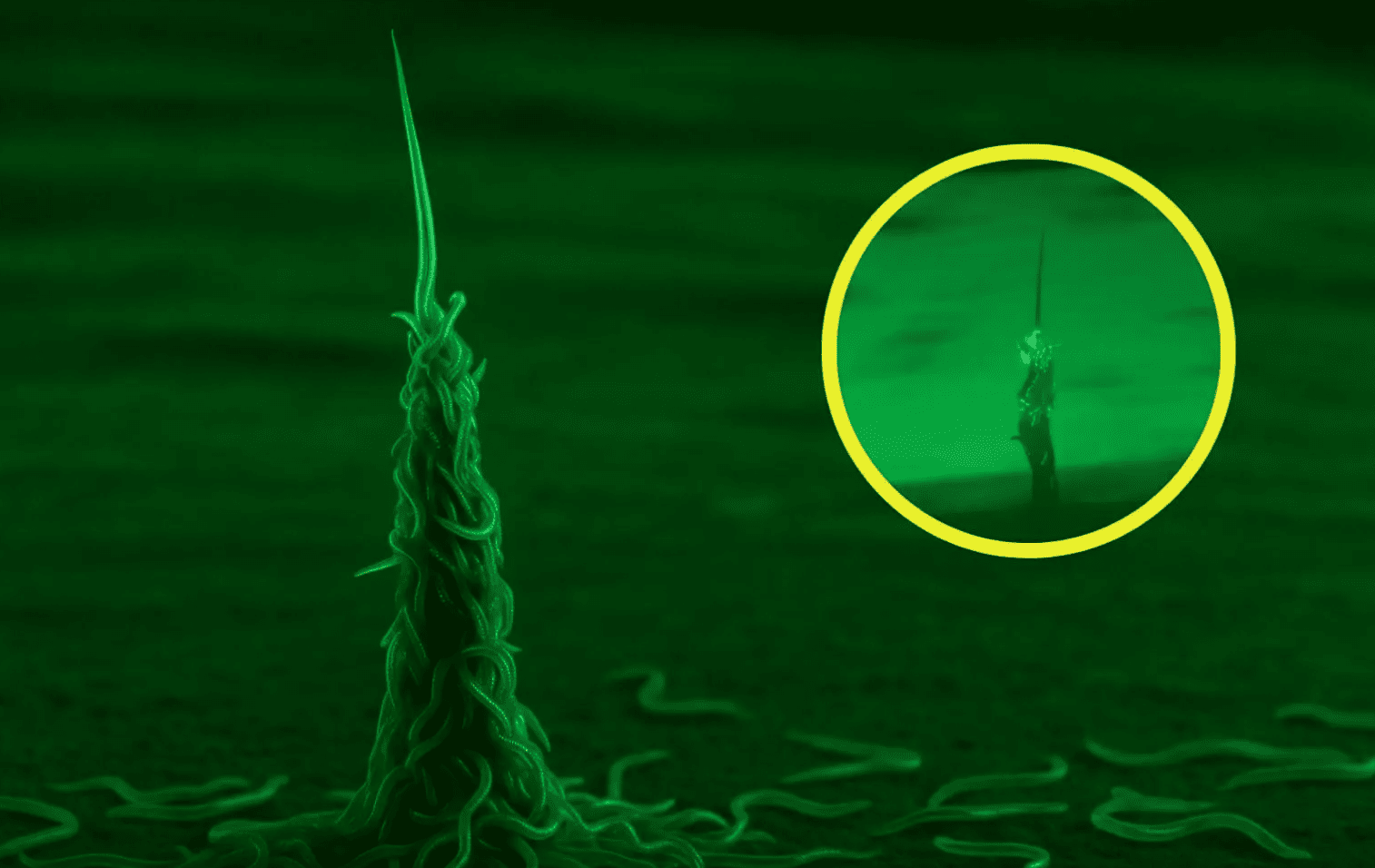 Torres gusanos naturaleza