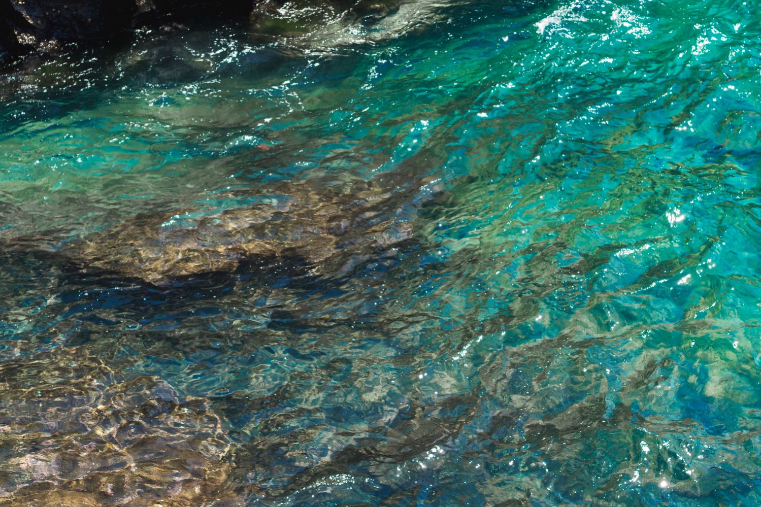 Transición Ecológica estrategias marinas segundo ciclo