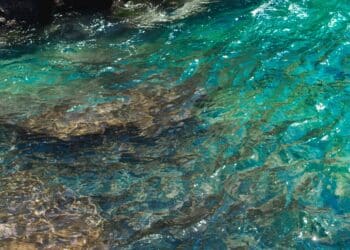 Transición Ecológica estrategias marinas segundo ciclo
