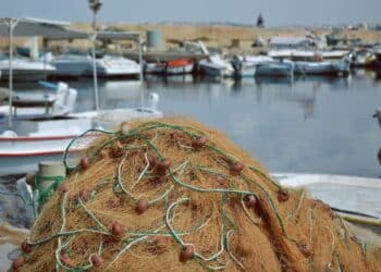 Tribunal protección marina España