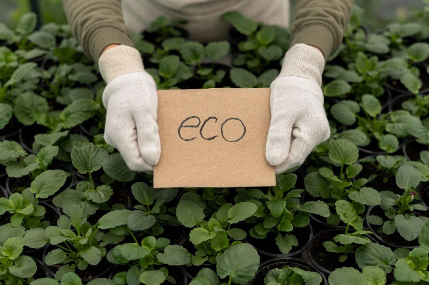 ley contra ecopostureo greenwashing