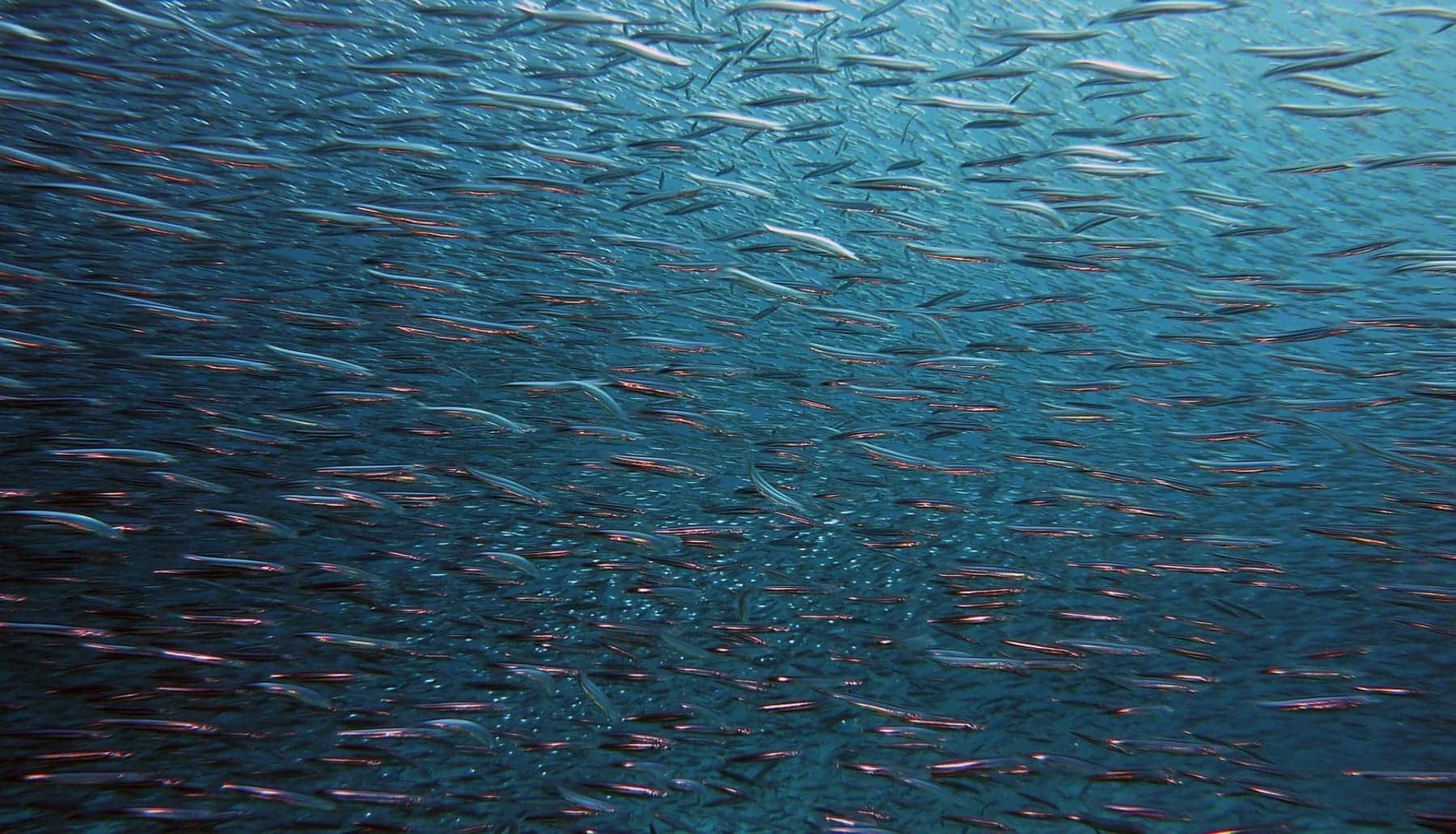 UNOC3 nuestra salud, nuestro clima y nuestro futuro están en juego