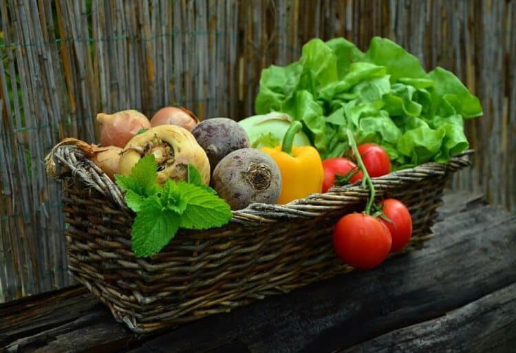transición Modelo Alimentario Sostenible alimentos origen vegetal ecológicos locales temporada