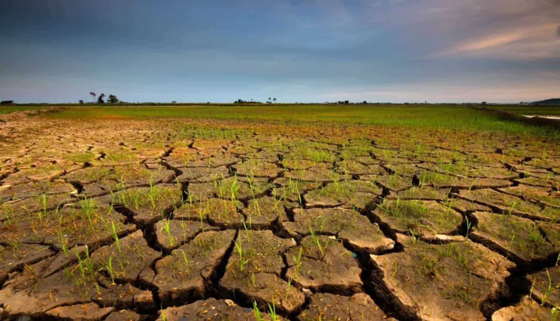 Ya podemos saber cómo será la pérdida de suelo por la erosión dentro de 100 años