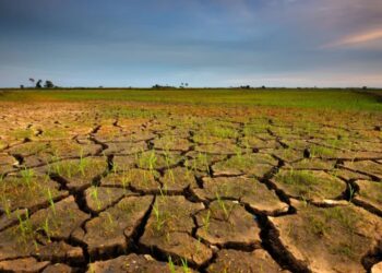 Ya podemos saber cómo será la pérdida de suelo por la erosión dentro de 100 años