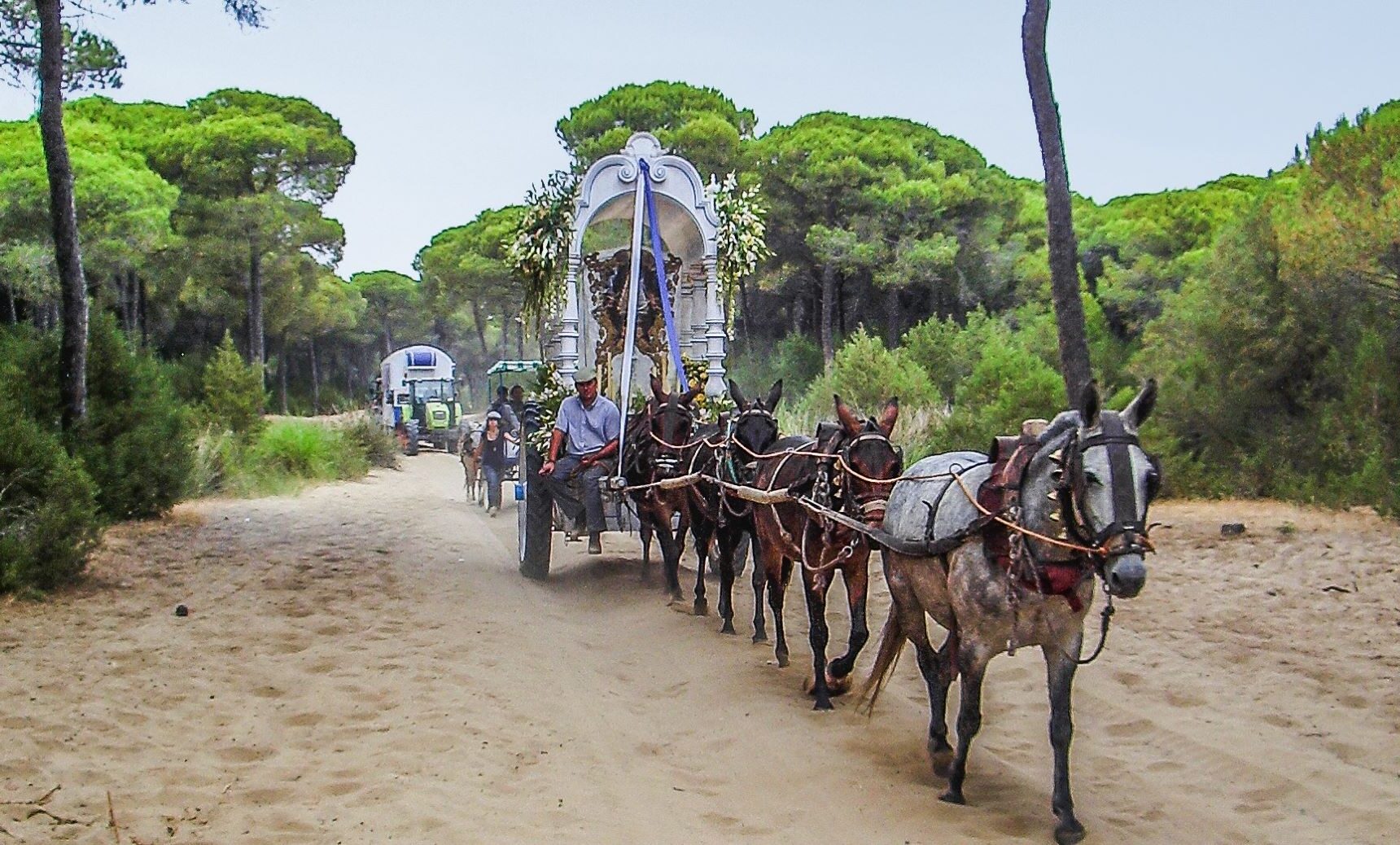 actividad rocio Doñana