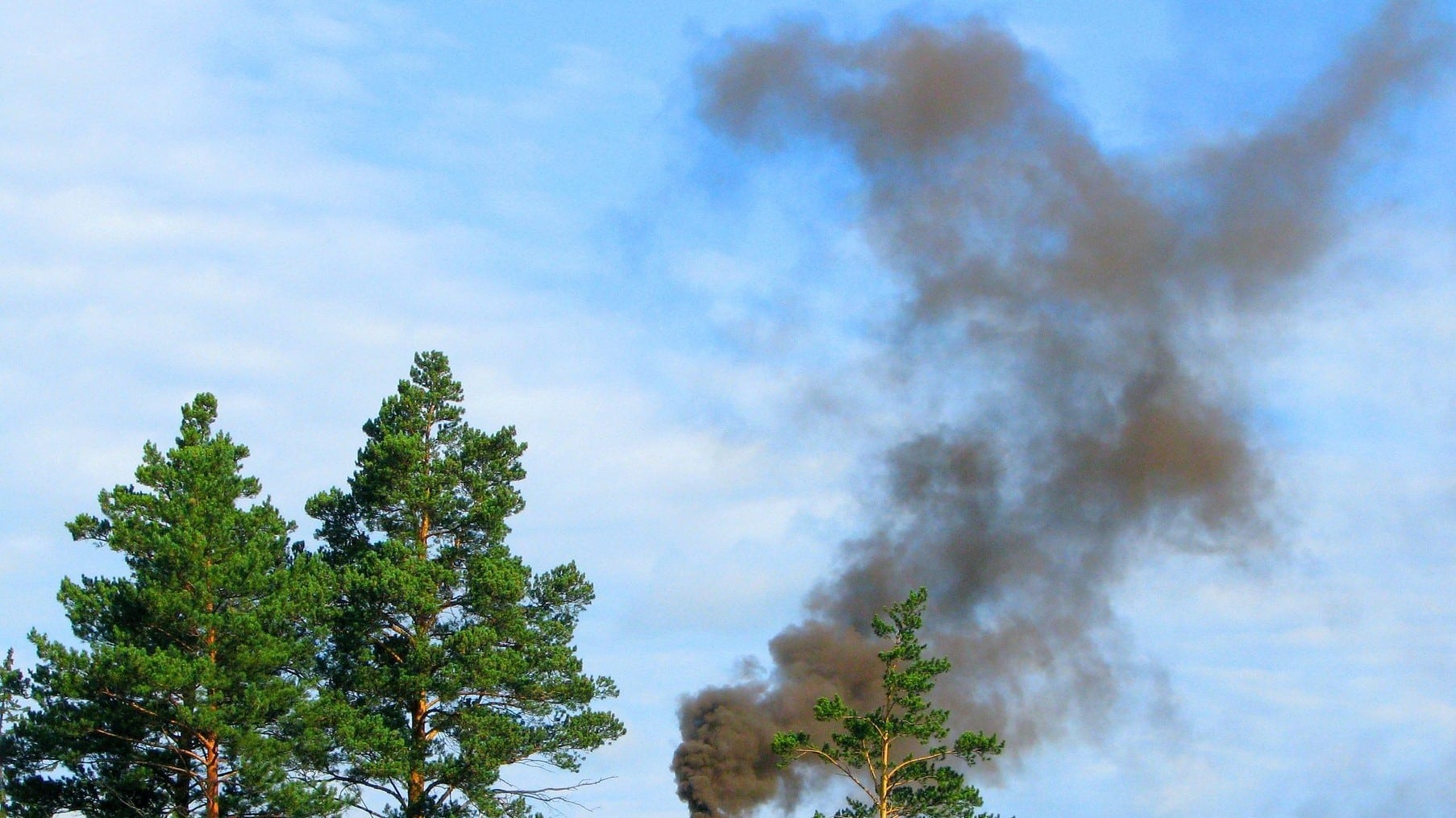 IA big data frenar incendios forestales