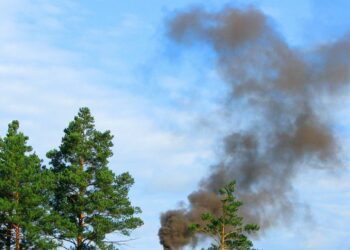 IA big data frenar incendios forestales