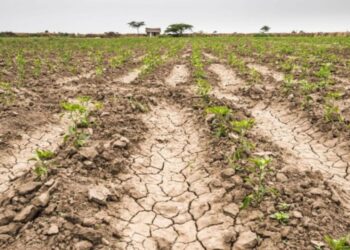 ¿Qué sabes de las directrices sobre ‘restauración ecológica’ en España