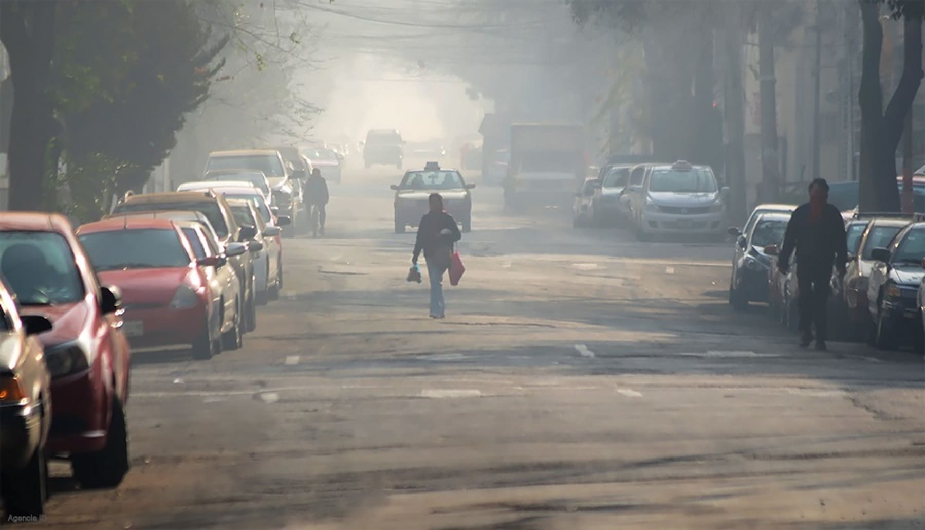 1 de cada 4 personas que no fumen puede tener cáncer a causa de la contaminación del aire
