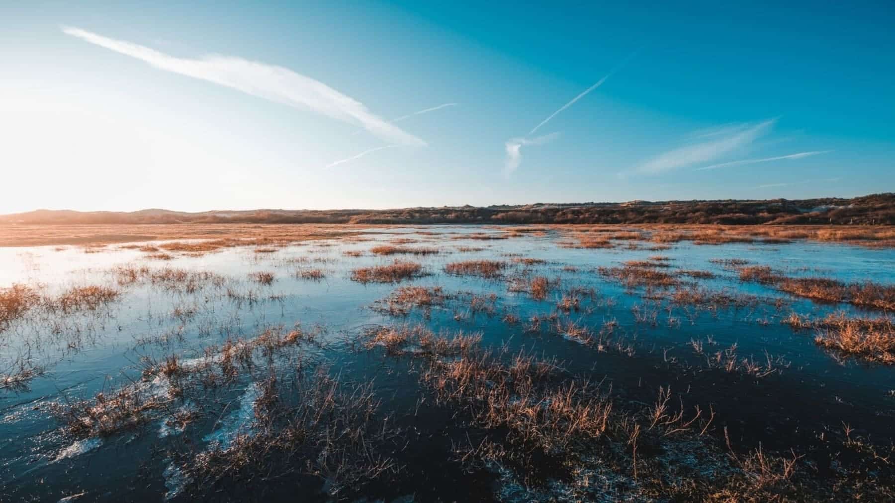 Algo es algo, aunque no lo ‘recomendable’ la reducción de agua para regadío en Doñana será del 15 por ciento para la próxima campaña