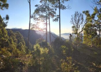 Alianza entre México y Cuba para proteger y estudiar sus reservas de biosfera