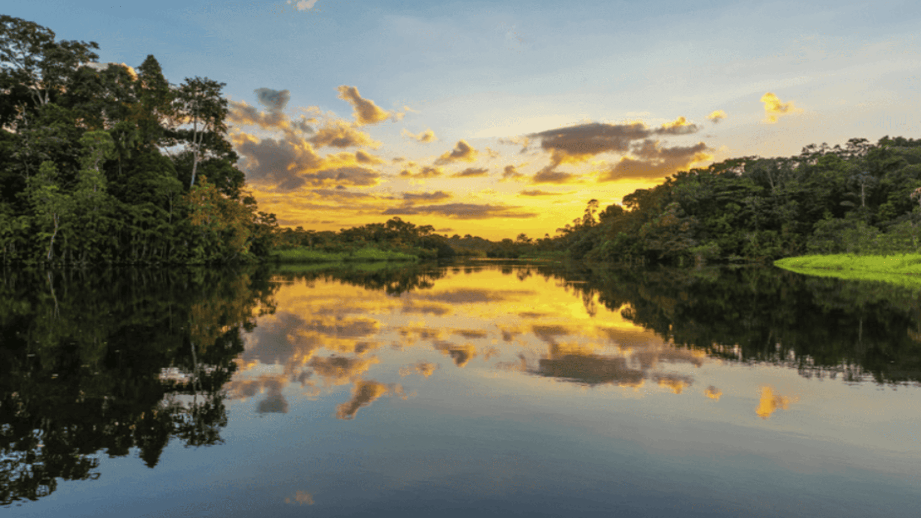 Amazonía ecuatoriana es vital que la pesca sea sostenible y se proteja la biodiversidad acuática