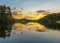 Amazonía ecuatoriana es vital que la pesca sea sostenible y se proteja la biodiversidad acuática