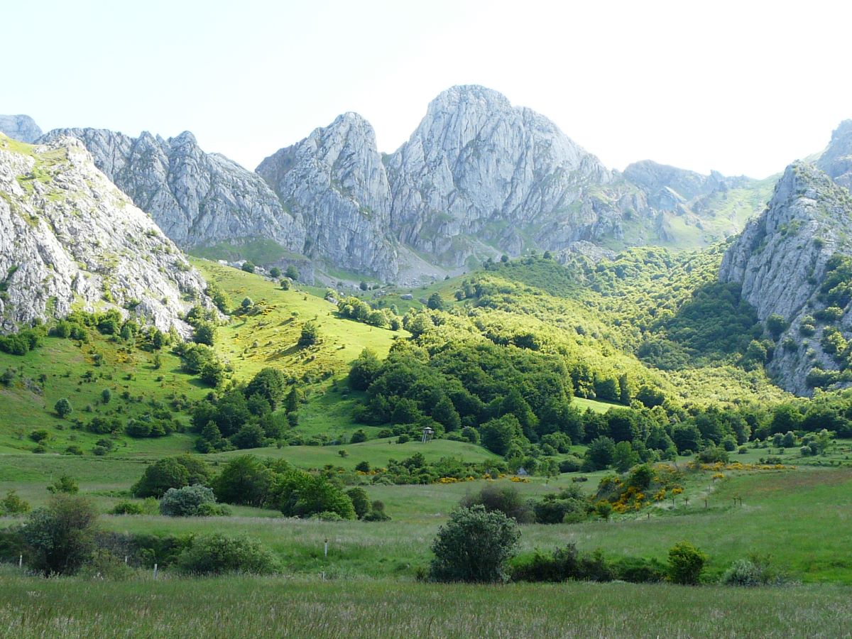 Áreas Importantes Conservación Aves Biodiversidad IBA