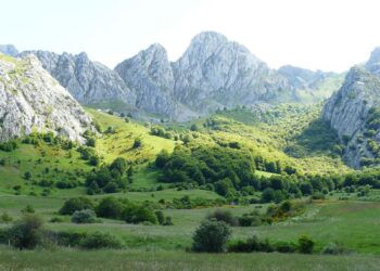 Áreas Importantes Conservación Aves Biodiversidad IBA