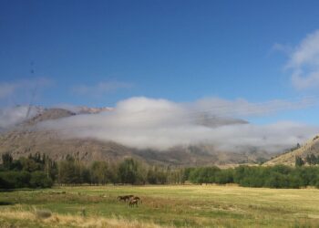 Argentina y Chile rompieron récords de frío con temperaturas polares