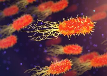 Bacterias extremófilas sobreviven 3 décadas en un medio tóxico y cambian las perspectivas de la ciencia