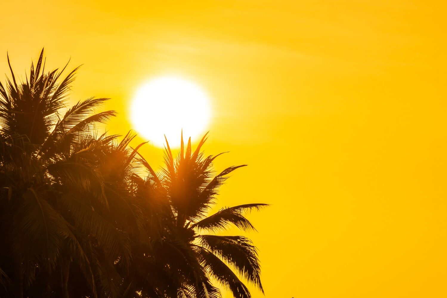 Balance climático AEMET junio 2025