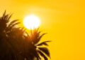 Balance climático AEMET junio 2025