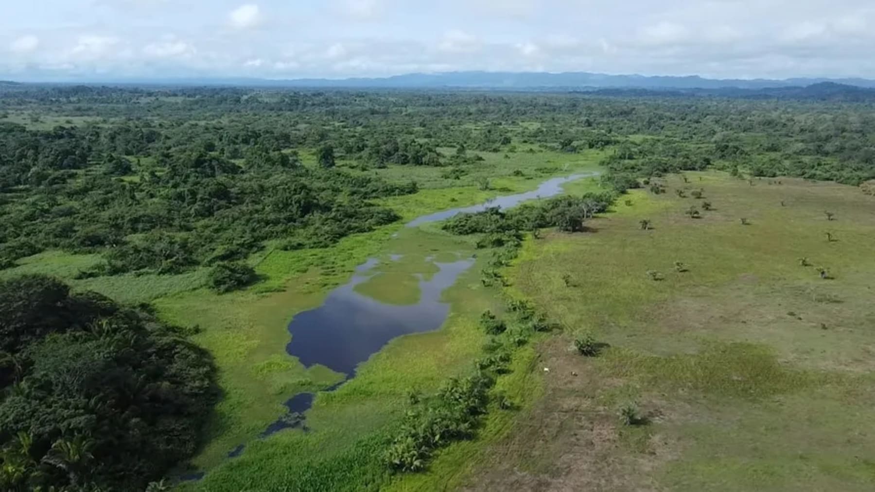 Buenas noticias desde Panamá el ‘Complejo de Humedales de Matusagaratí’ se convierte en el sexto sitio Ramsar del país
