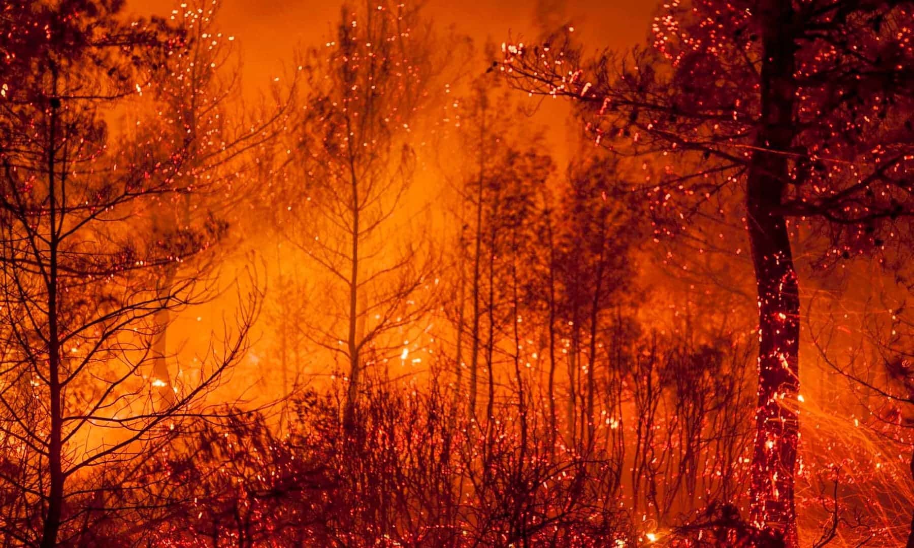 incendios forestales extremos cambio climático