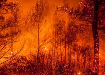 incendios forestales extremos cambio climático