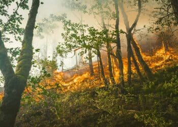 Desalojan más de 100 personas por el incendio forestal en Las Hurdes (Extremadura)