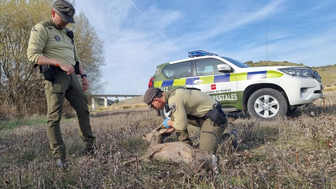 Día Mundial de los Guardas Forestales